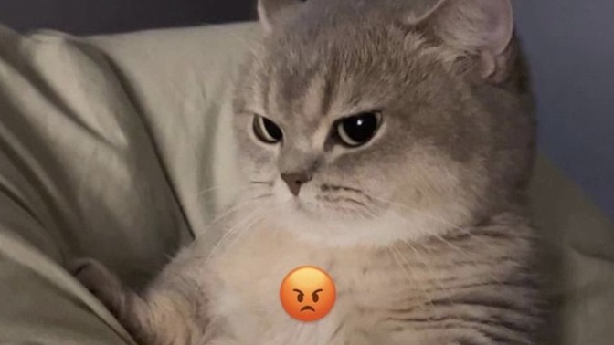 Sana yapılan yanlışı hatırladığında öfken geri gelir mi?