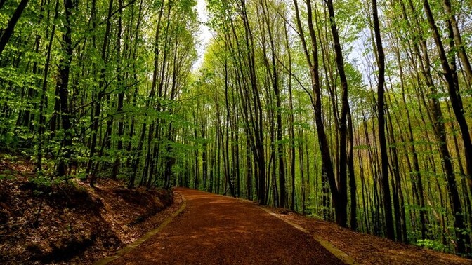 Doğa yürüyüşüne giderken yanınıza ne alırsınız?
