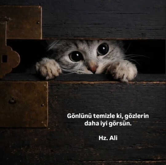Gönlü temiz olan her şeyi daha güzel mi görür, kalp gözümüz gerçeği nasıl etkiler?
