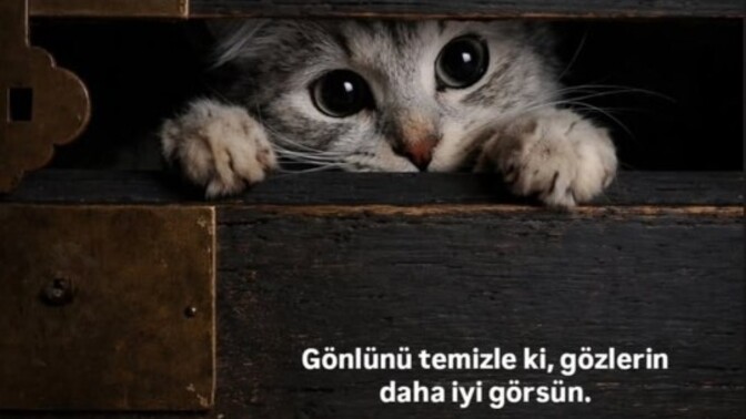 Gönlü temiz olan her şeyi daha güzel mi görür, kalp gözümüz gerçeği nasıl etkiler?
