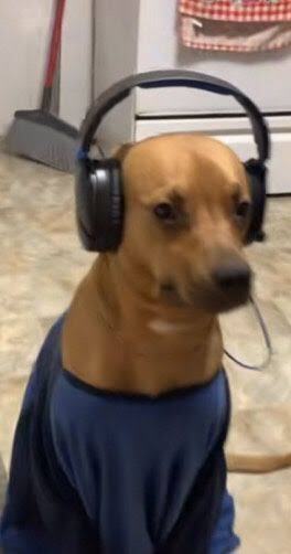 7/24 müzik dinlemek bir hastalık mıdır?