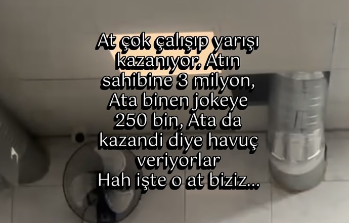 Ben at bile değilim arkadaşlar 😂