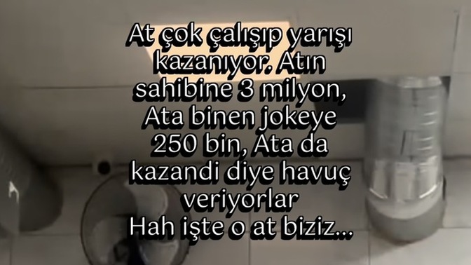At sahibi misiniz, jokey mi, at mı?