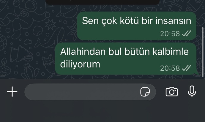Eski sevgilinin bu kadar nefret dolu olmasi normal mi?