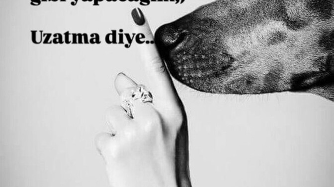 Yalan söylemeyi sever misiniz?