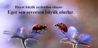 Bir yere çağırıldığınız da sevildiğiniz için mi işe yaradınız için mi çağırılırsınız?