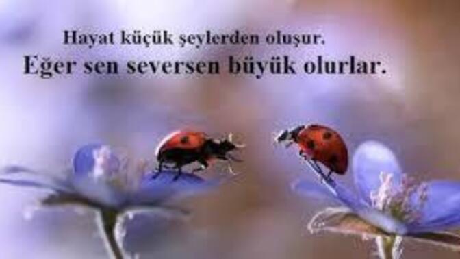 Bir yere çağırıldığınız da sevildiğiniz için mi işe yaradınız için mi çağırılırsınız?