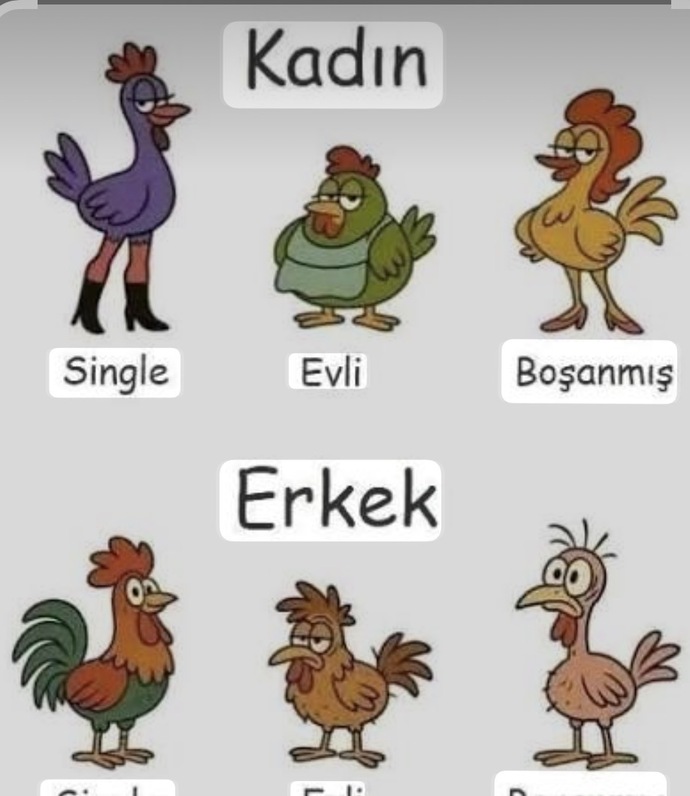 Bosanan erkekler neden 1 yıl içinde hemen evleniyor, bunun psikolojik sebebi ne?