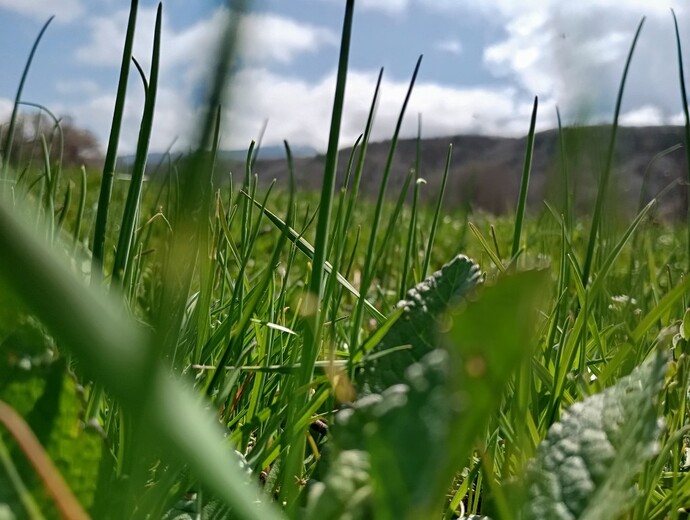 Kendi çektiğiniz huzur dolu fotoğrafları bizimle paylaşır mısınız?