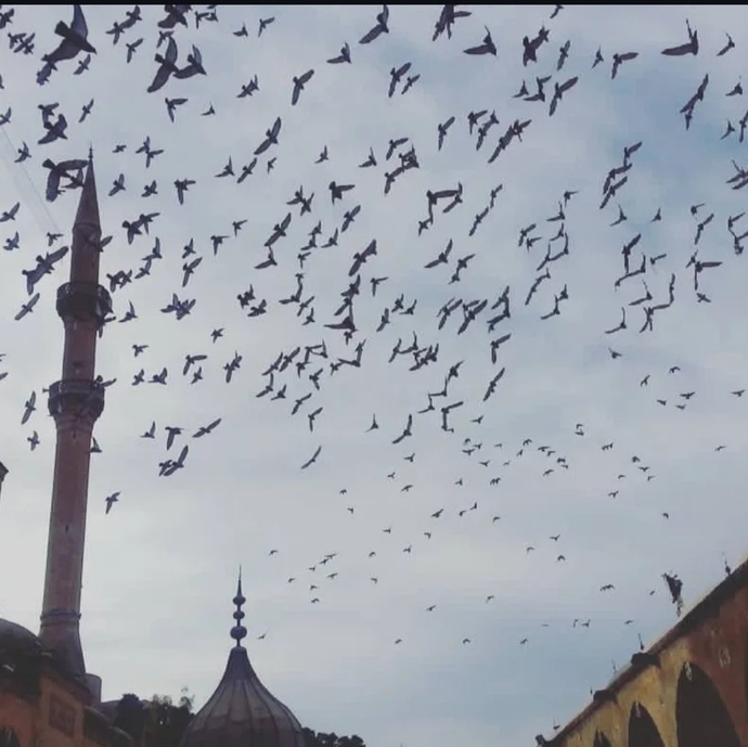Burası neresi, bilen var mı