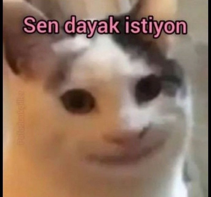 Gizli saklı iş yapar mısınız?