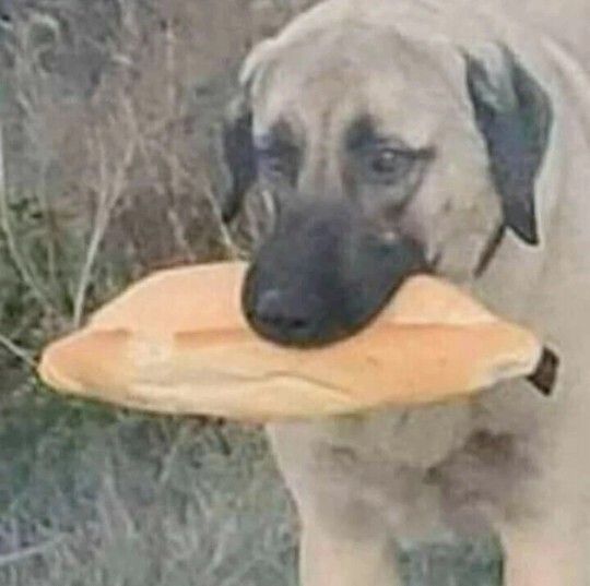 Sen ne kadar garibansın söyleyeyim mi?
