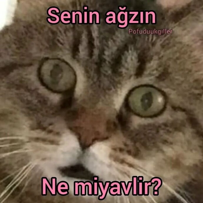 Aşırı tatlı değil mi?