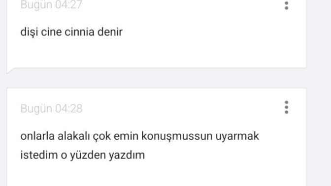 KS de kahkaha atarak mesaj attınız mı hiç?
