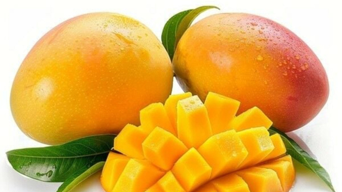 Hiç mango yemeyen bir tek ben miyim siz yediniz mi?