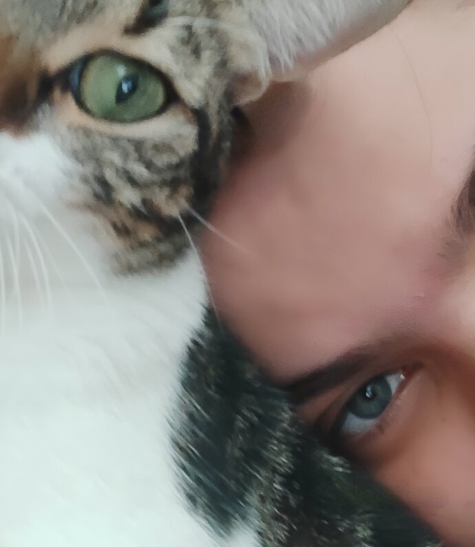 Sizinde evcil hayvanınız var mı, varsa aranızdaki sevgi ve bağ nasıl?