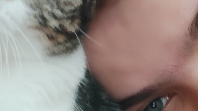 Sizinde evcil hayvanınız var mı, varsa aranızdaki sevgi ve bağ nasıl?