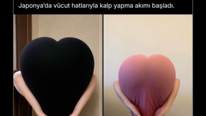 Sizce bu saçma akım Türkiye'ye gelirse ne olur, siz ne düşünüyorsunuz?