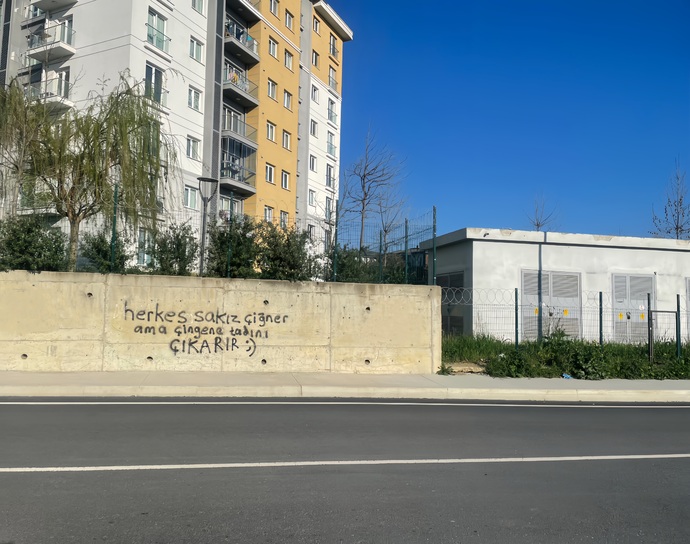 Sence insanlar neden duvarlara yazı yazma ihtiyacı hisseder?