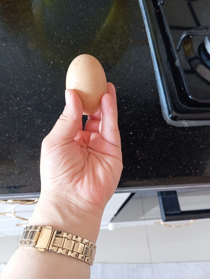 Köy yumurtası dedikleri bu mu size göre?