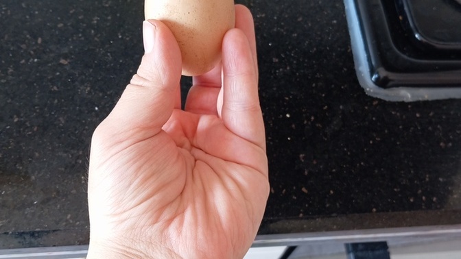 Köy yumurtası dedikleri bu mu size göre?