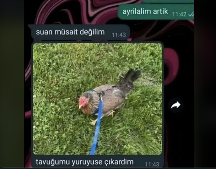 Bahane bulmada ne kadar iyisiniz?