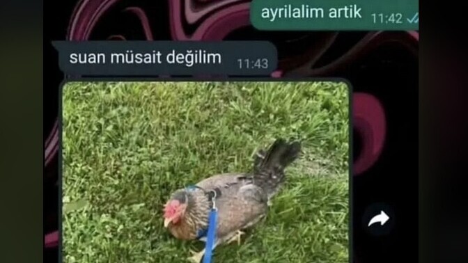 Bahane bulmada ne kadar iyisiniz?
