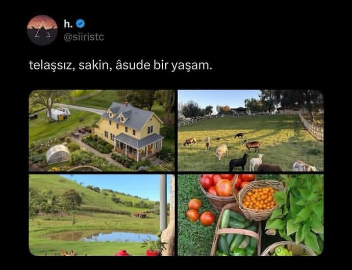 Günlük hayatın telaşlı mı geçiyor, sakin mi?