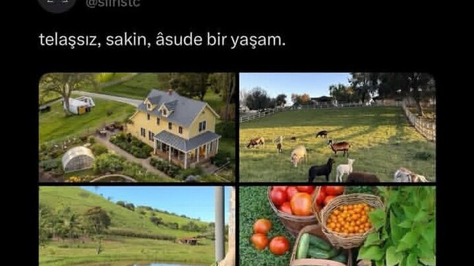 Günlük hayatın telaşlı mı geçiyor, sakin mi?