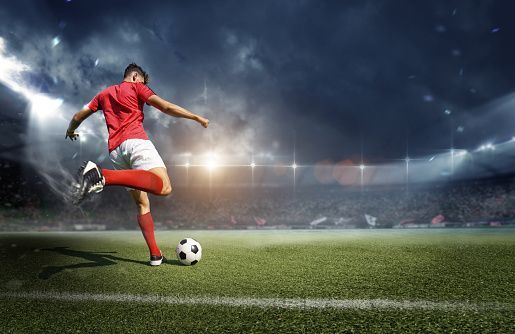 Bir spor takımı kurabilecek olsan hangi spor dalında olurdu?