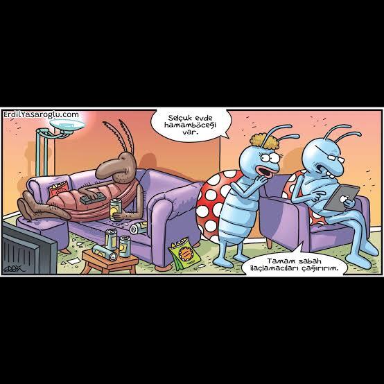 En son ne zaman evinizde böcek gördünüz?