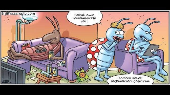 En son ne zaman evinizde böcek gördünüz?