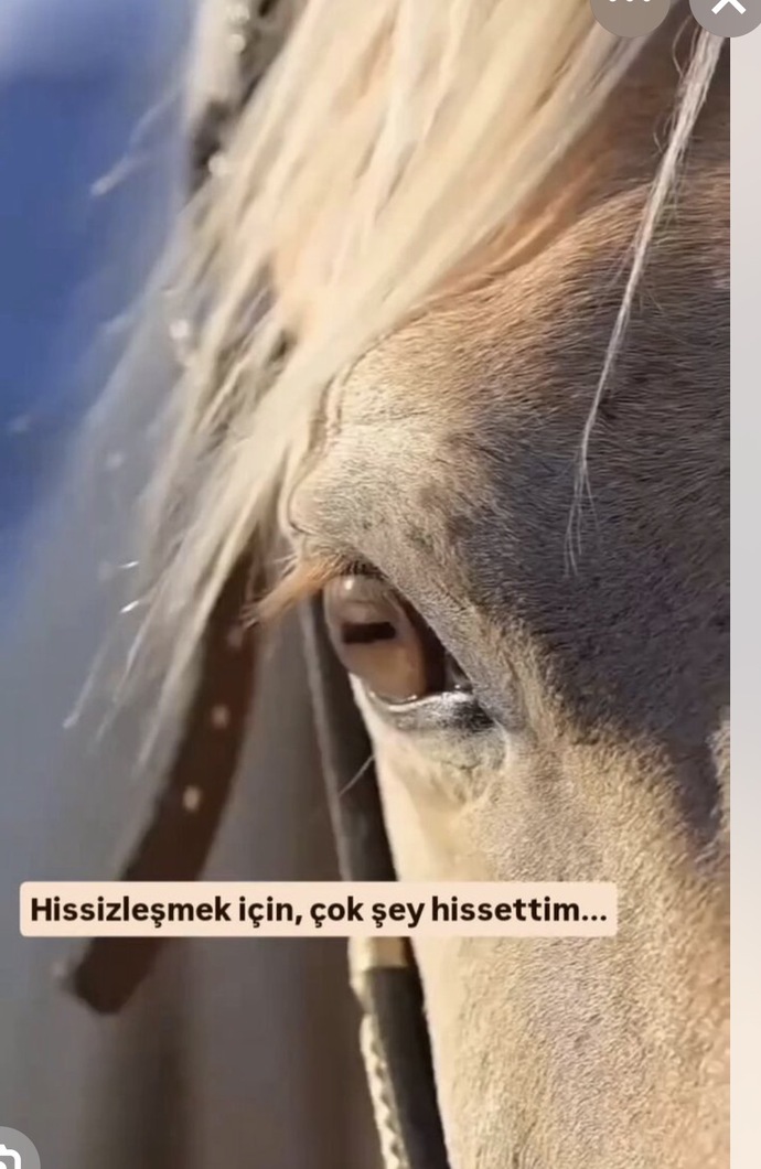 İnsanlar neden bu kadar hissizleşti ve yalnızlaştı, toplumda ne gibi sonuçlara yol açıyor?