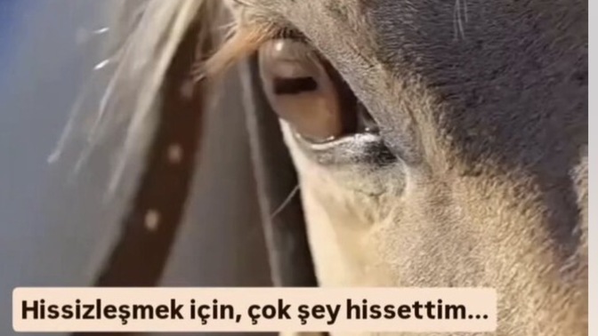 İnsanlar neden bu kadar hissizleşti ve yalnızlaştı, toplumda ne gibi sonuçlara yol açıyor?