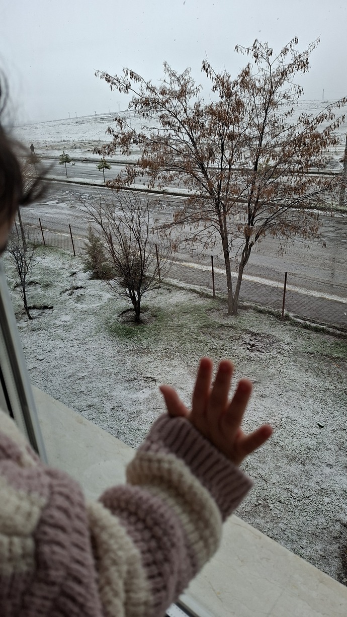 Sizin orada anlık hava durumu nasıl, biz yine beyaza büründük bahar yok mu?