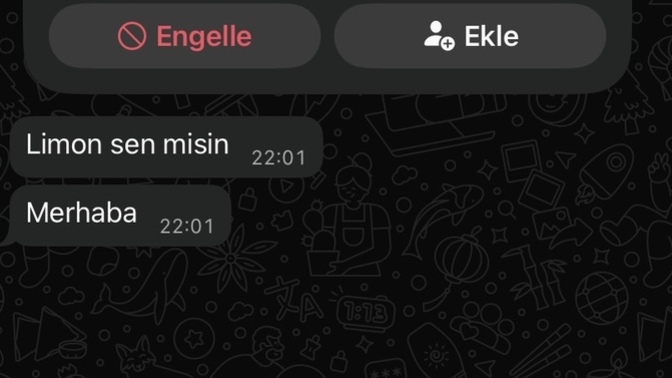 Bu numara mesaj attı napim?