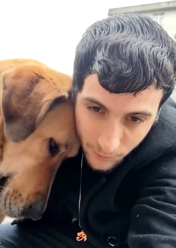 Köpeklerden korkuyor musunuz?