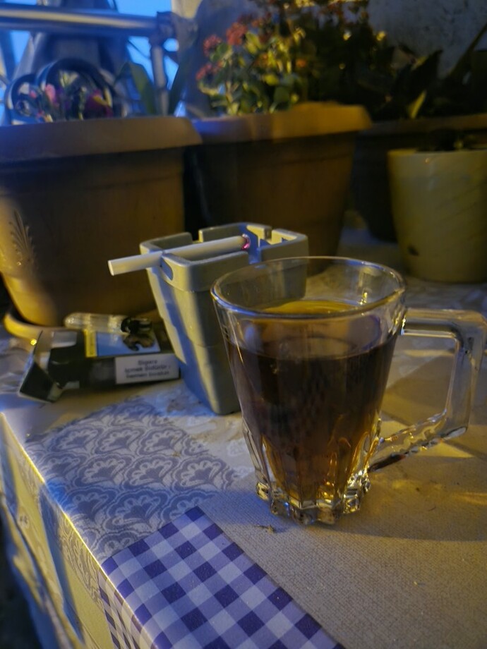 Yemekten sonra en iyi ne gider?