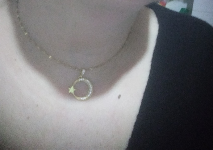 Ay yıldızlı kolye aldım , takı ve aksesuar kullanmayı severmisiniz 🌸?