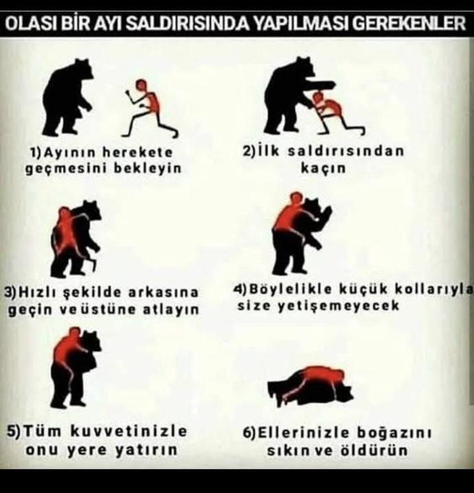 😅😅😅🤪🤪🤪🤪🤪