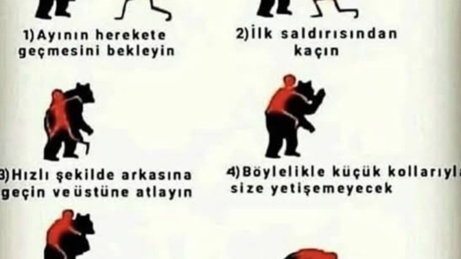 Araştırmaya göre, erkeklerin %58'i bir ayı ile başa çıkabileceğini düşünüyor Sizce çıkabilir miyiz?