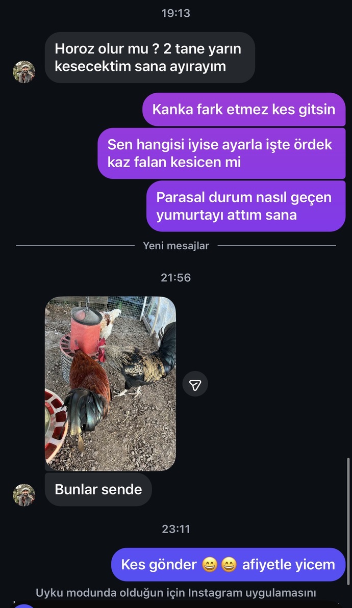 Doğal beslenme ile aranız nasıl? Tavuk etinin gerçekten sağlıklı olduğunu düşünüyor musunuz?