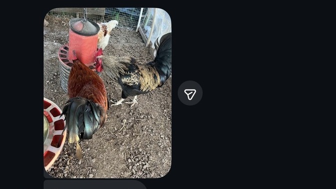 Doğal beslenme ile aranız nasıl? Tavuk etinin gerçekten sağlıklı olduğunu düşünüyor musunuz?