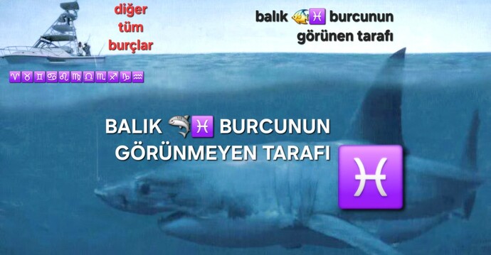 Yay burcuyum. Balık ♓️🦈 burcu aslında içten içe en vahşi burçtur. Fikirleriniz?