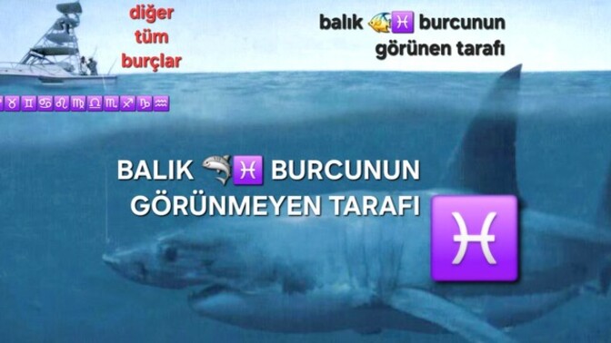 Yay burcuyum. Balık ♓️🦈 burcu aslında içten içe en vahşi burçtur. Fikirleriniz?