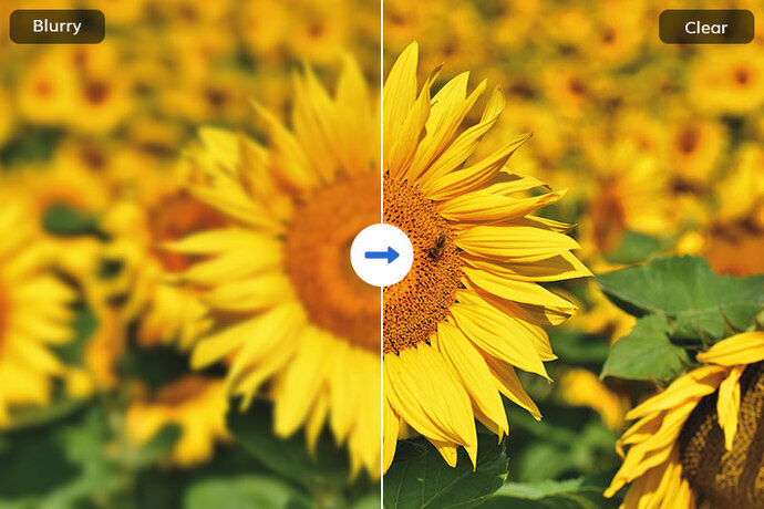Bulanık çıkmış fotoğrafı nasıl netleştiririm?