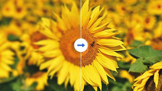 Bulanık çıkmış fotoğrafı nasıl netleştiririm?