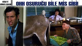 Kediniz ağzınıza doğru osurabilir mi? Veya böyle bir şey yapsa ne yaparsınız?