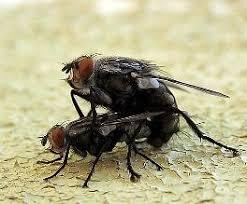 Uzun zamandır çizim yapmıyordum 🤭🤭sizlere muhteşem bir çalışmayla geldim çizimim için bi maşallah alır mıyım?🤭?