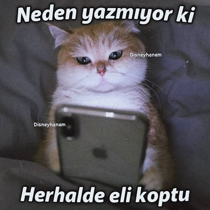Mesajlara geç dönen sevgili bıktırır mı?